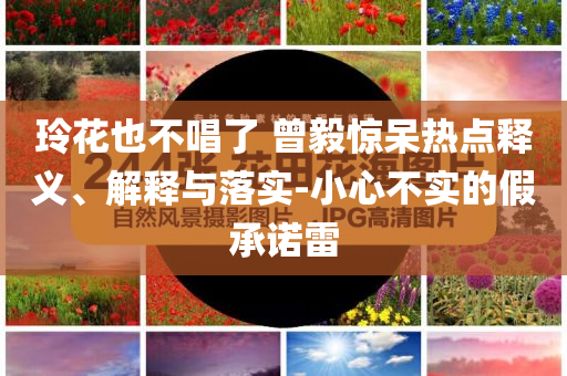 玲花也不唱了 曾毅驚呆熱點釋義、解釋與落實-小心不實的假承諾雷