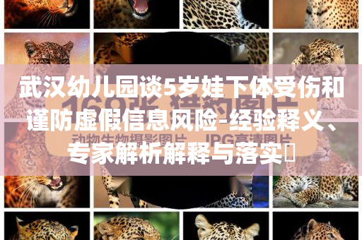 武漢幼兒園談5歲娃下體受傷和謹(jǐn)防虛假信息風(fēng)險(xiǎn)-經(jīng)驗(yàn)釋義、專家解析解釋與落實(shí)?