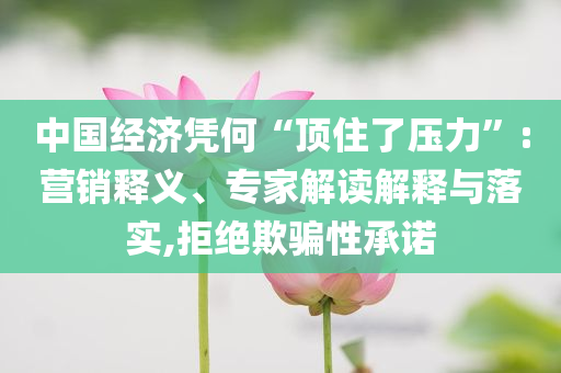 中國經濟憑何“頂住了壓力”:營銷釋義、專家解讀解釋與落實,拒絕欺騙性承諾