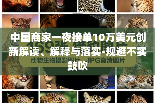 中國(guó)商家一夜接單10萬美元?jiǎng)?chuàng)新解讀、解釋與落實(shí)-規(guī)避不實(shí)鼓吹