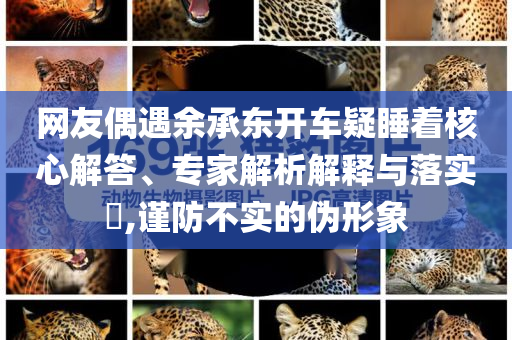 網(wǎng)友偶遇余承東開(kāi)車疑睡著核心解答、專家解析解釋與落實(shí)?,謹(jǐn)防不實(shí)的偽形象