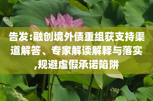 告發(fā):融創(chuàng)境外債重組獲支持渠道解答、專家解讀解釋與落實(shí),規(guī)避虛假承諾陷阱