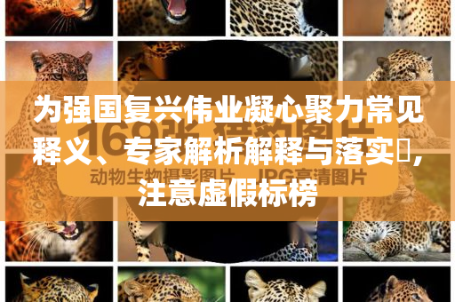為強國復興偉業(yè)凝心聚力常見釋義、專家解析解釋與落實?,注意虛假標榜