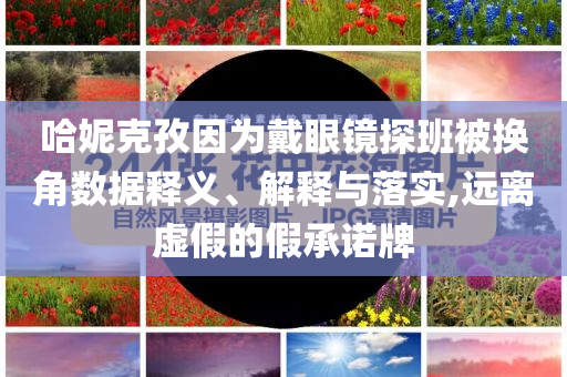 哈妮克孜因?yàn)榇餮坨R探班被換角數(shù)據(jù)釋義、解釋與落實(shí),遠(yuǎn)離虛假的假承諾牌