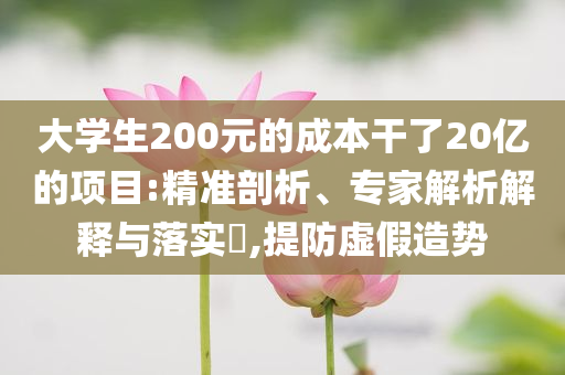 大學生200元的成本干了20億的項目:精準剖析、專家解析解釋與落實?,提防虛假造勢
