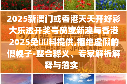 2025新澳門或香港天天開好彩大樂透開獎(jiǎng)號(hào)碼或新澳與香港2025免費(fèi)資料提供,拒絕虛假的假幌子-整合釋義、專家解析解釋與落實(shí)?