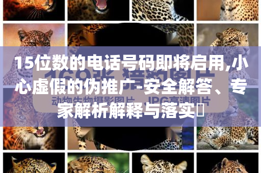 15位數(shù)的電話號(hào)碼即將啟用,小心虛假的偽推廣-安全解答、專(zhuān)家解析解釋與落實(shí)?