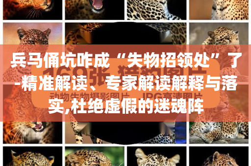 兵馬俑坑咋成“失物招領(lǐng)處”了-精準(zhǔn)解讀、專(zhuān)家解讀解釋與落實(shí),杜絕虛假的迷魂陣