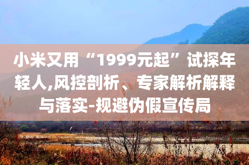 小米又用“1999元起”試探年輕人,風(fēng)控剖析、專家解析解釋與落實(shí)-規(guī)避偽假宣傳局