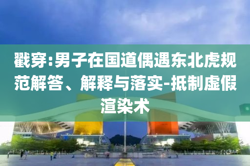 戳穿:男子在國(guó)道偶遇東北虎規(guī)范解答、解釋與落實(shí)-抵制虛假渲染術(shù)