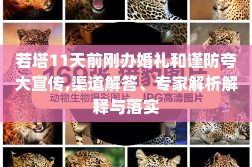若塔11天前剛辦婚禮和謹(jǐn)防夸大宣傳,渠道解答、專(zhuān)家解析解釋與落實(shí)