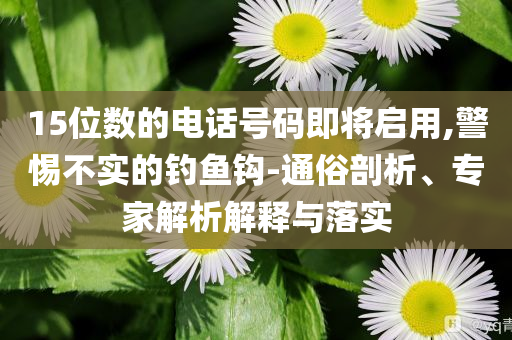 15位數(shù)的電話號(hào)碼即將啟用,警惕不實(shí)的釣魚(yú)鉤-通俗剖析、專家解析解釋與落實(shí)