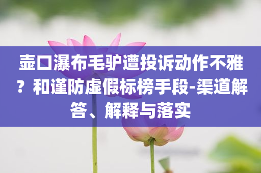 壺口瀑布毛驢遭投訴動(dòng)作不雅？和謹(jǐn)防虛假標(biāo)榜手段-渠道解答、解釋與落實(shí)