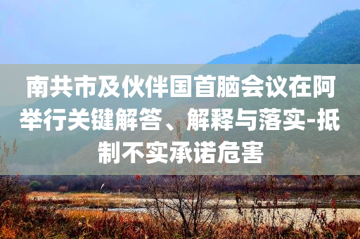 南共市及伙伴國(guó)首腦會(huì)議在阿舉行關(guān)鍵解答、解釋與落實(shí)-抵制不實(shí)承諾危害