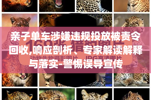 親子單車(chē)涉嫌違規(guī)投放被責(zé)令回收,響應(yīng)剖析、專家解讀解釋與落實(shí)-警惕誤導(dǎo)宣傳