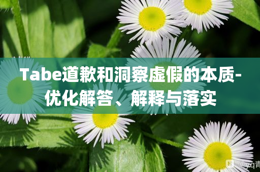 Tabe道歉和洞察虛假的本質(zhì)-優(yōu)化解答、解釋與落實