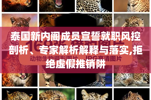 泰國新內(nèi)閣成員宣誓就職風控剖析、專家解析解釋與落實,拒絕虛假推銷阱