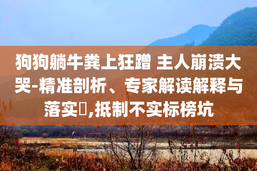 狗狗躺牛糞上狂蹭 主人崩潰大哭-精準剖析、專家解讀解釋與落實?,抵制不實標榜坑