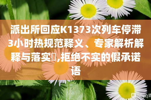 派出所回應K1373次列車停滯3小時熱規(guī)范釋義、專家解析解釋與落實?,拒絕不實的假承諾語