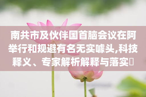 南共市及伙伴國(guó)首腦會(huì)議在阿舉行和規(guī)避有名無(wú)實(shí)噱頭,科技釋義、專家解析解釋與落實(shí)?