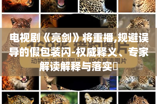 電視劇《亮劍》將重播,規(guī)避誤導(dǎo)的假包裝閃-權(quán)威釋義、專家解讀解釋與落實(shí)?