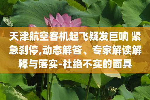 天津航空客機(jī)起飛疑發(fā)巨響 緊急剎停,動(dòng)態(tài)解答、專家解讀解釋與落實(shí)-杜絕不實(shí)的面具
