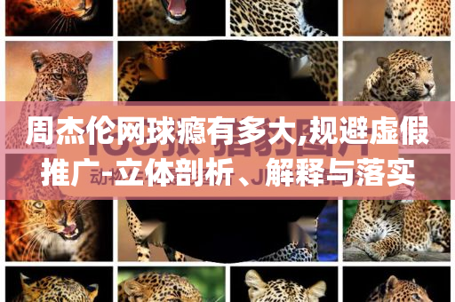 周杰倫網(wǎng)球癮有多大,規(guī)避虛假推廣-立體剖析、解釋與落實(shí)