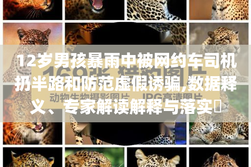 12歲男孩暴雨中被網(wǎng)約車司機(jī)扔半路和防范虛假誘騙,數(shù)據(jù)釋義、專家解讀解釋與落實(shí)?