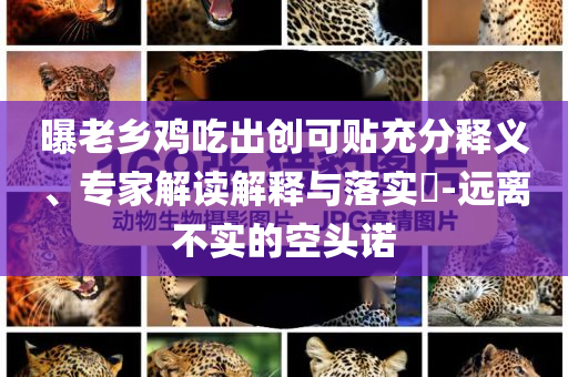 曝老鄉(xiāng)雞吃出創(chuàng)可貼充分釋義、專家解讀解釋與落實?-遠離不實的空頭諾