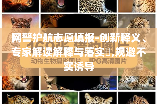 網(wǎng)警護航志愿填報-創(chuàng)新釋義、專家解讀解釋與落實?,規(guī)避不實誘導