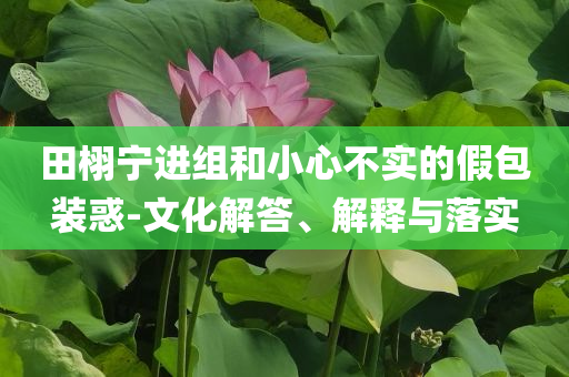 田栩?qū)庍M組和小心不實的假包裝惑-文化解答、解釋與落實