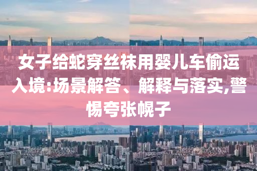 女子給蛇穿絲襪用嬰兒車偷運(yùn)入境:場(chǎng)景解答、解釋與落實(shí),警惕夸張幌子