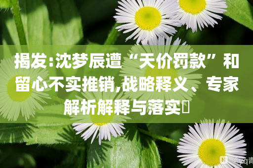 揭發(fā):沈夢(mèng)辰遭“天價(jià)罰款”和留心不實(shí)推銷,戰(zhàn)略釋義、專家解析解釋與落實(shí)?