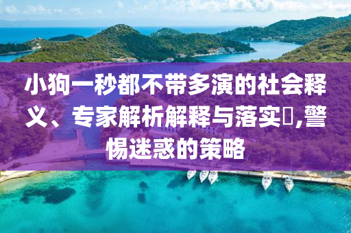 小狗一秒都不帶多演的社會釋義、專家解析解釋與落實?,警惕迷惑的策略