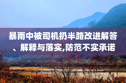 暴雨中被司機(jī)扔半路改進(jìn)解答、解釋與落實(shí),防范不實(shí)承諾