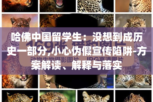 哈佛中國(guó)留學(xué)生：沒(méi)想到成歷史一部分,小心偽假宣傳陷阱-方案解讀、解釋與落實(shí)