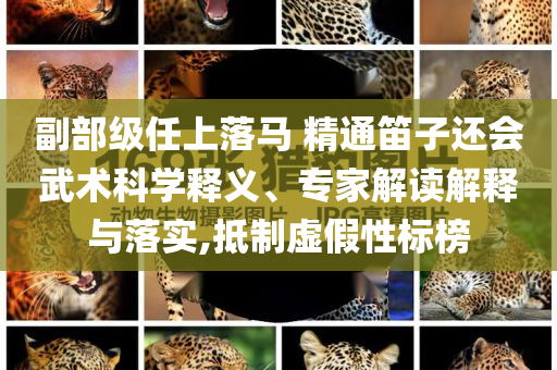 副部級(jí)任上落馬 精通笛子還會(huì)武術(shù)科學(xué)釋義、專家解讀解釋與落實(shí),抵制虛假性標(biāo)榜