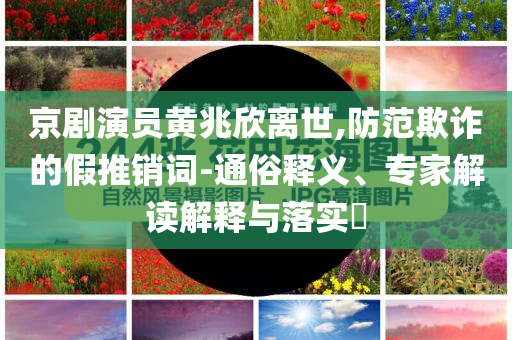 京劇演員黃兆欣離世,防范欺詐的假推銷詞-通俗釋義、專家解讀解釋與落實(shí)?