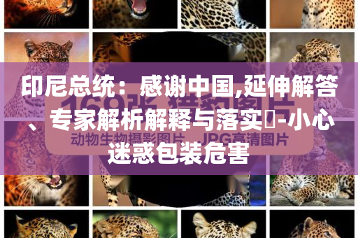 印尼總統(tǒng)：感謝中國,延伸解答、專家解析解釋與落實?-小心迷惑包裝危害