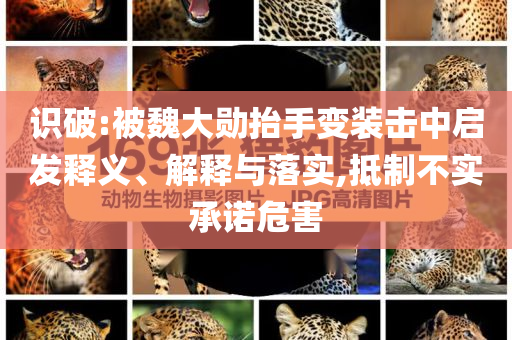 識(shí)破:被魏大勛抬手變裝擊中啟發(fā)釋義、解釋與落實(shí),抵制不實(shí)承諾危害