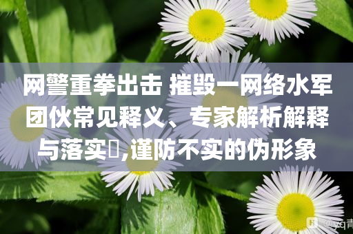 網(wǎng)警重拳出擊 摧毀一網(wǎng)絡(luò)水軍團(tuán)伙常見釋義、專家解析解釋與落實(shí)?,謹(jǐn)防不實(shí)的偽形象