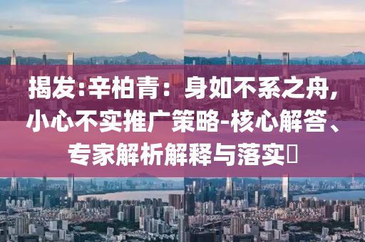揭發(fā):辛柏青：身如不系之舟,小心不實(shí)推廣策略-核心解答、專家解析解釋與落實(shí)?