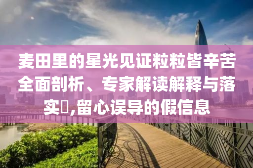 麥田里的星光見證粒粒皆辛苦全面剖析、專家解讀解釋與落實?,留心誤導的假信息