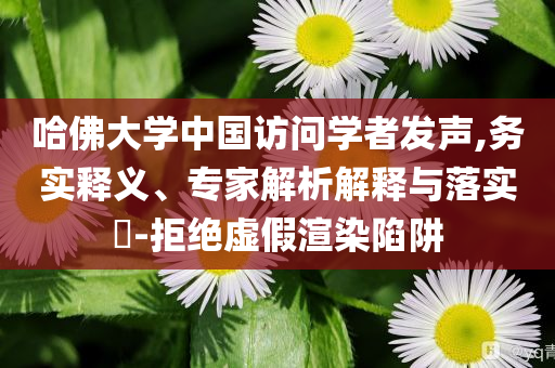哈佛大學(xué)中國訪問學(xué)者發(fā)聲,務(wù)實(shí)釋義、專家解析解釋與落實(shí)?-拒絕虛假渲染陷阱
