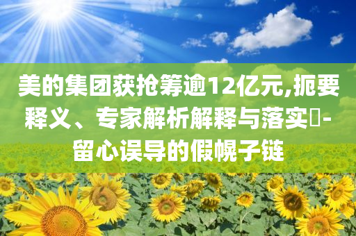 美的集團(tuán)獲搶籌逾12億元,扼要釋義、專家解析解釋與落實(shí)?-留心誤導(dǎo)的假幌子鏈