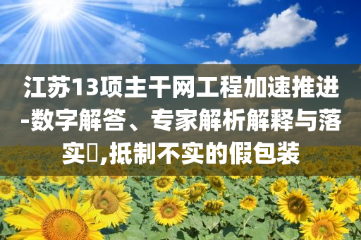 江蘇13項主干網工程加速推進-數(shù)字解答、專家解析解釋與落實?,抵制不實的假包裝