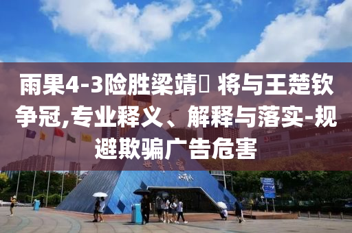 雨果4-3險勝梁靖崑 將與王楚欽爭冠,專業(yè)釋義、解釋與落實-規(guī)避欺騙廣告危害