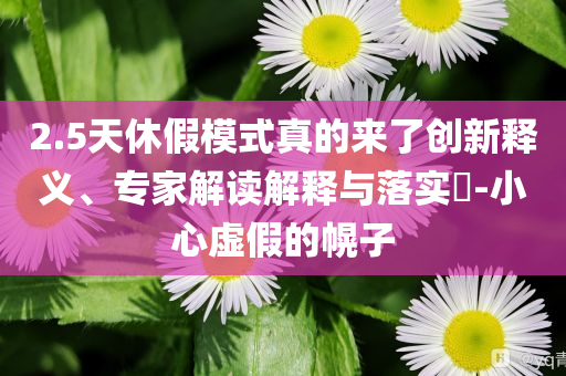2.5天休假模式真的來了創(chuàng)新釋義、專家解讀解釋與落實?-小心虛假的幌子