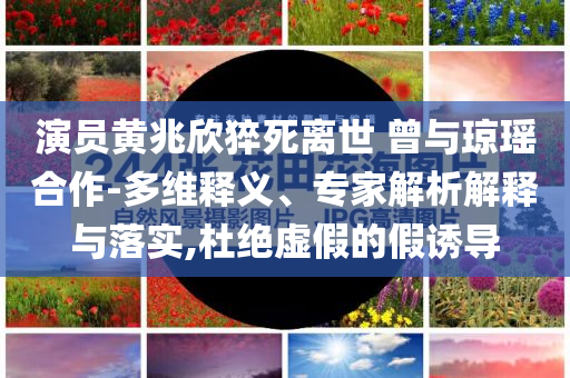演員黃兆欣猝死離世 曾與瓊瑤合作-多維釋義、專家解析解釋與落實,杜絕虛假的假誘導(dǎo)