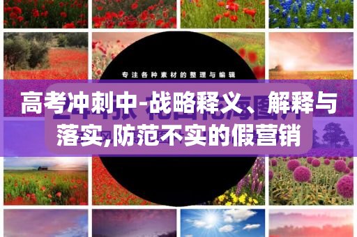 高考沖刺中-戰(zhàn)略釋義、解釋與落實,防范不實的假營銷